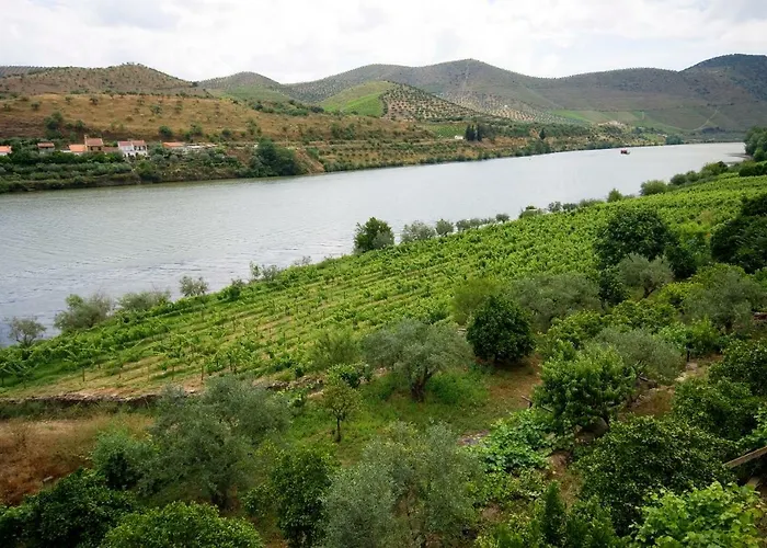 Quinta Da Ponte Gospodarstwo wiejskie *